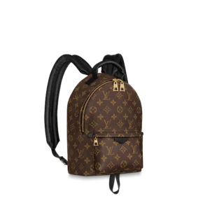 Louis Vuitton Palm Springs Pm 29Cm M44871