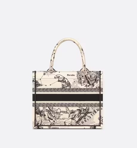 Small Dior Book Tote - Image 5