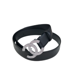 Chanel Wallet On Chain Woc Beige 19Cm