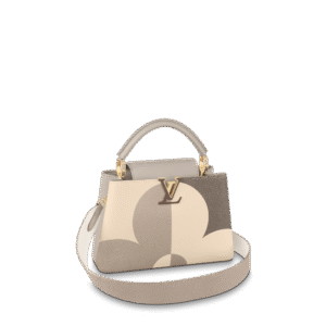 Louis Vuitton Capucines Bb Gray M59699